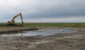 Umsetzung einer Kompensationsmaßnahme für Rastvögel im Leyhörn, Landkreis Aurich, 2005