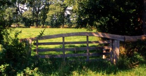 Altes Weidetor ("Heck") bei Backemoor, Landkreis Leer